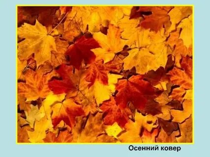 Ковер с осенними листьями