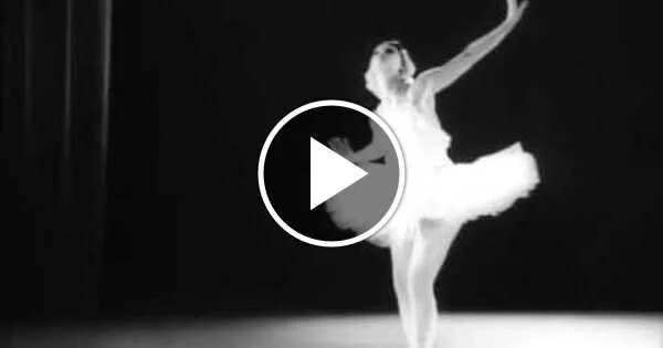 Майя плисецкая лебедь видео. Майя плисецкая лебедь. майя плисецкая руки в лебеде. ростропович балерина.