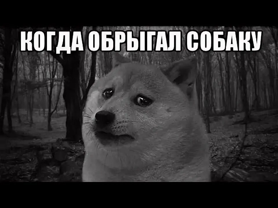 Она только началась. После жизнь только начинается. Она только началась. Рабочая неделя началась а я уже устала. В 50 лет жизнь только начинается.