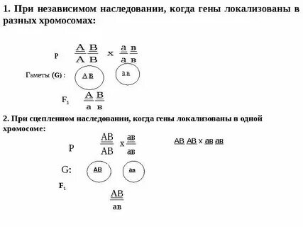 Независимое наследование это