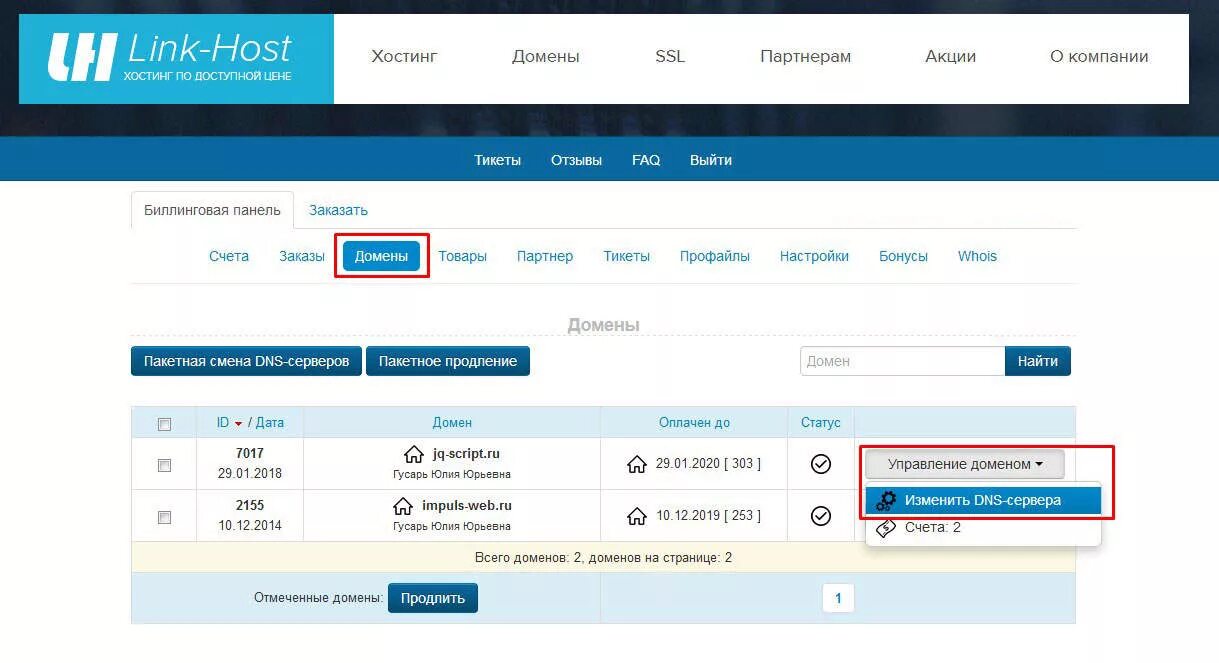 Link host. Линк хост. Как привязать два домена к одному хостингу. Сайты с русским доменом. Место нахождения домен .link.