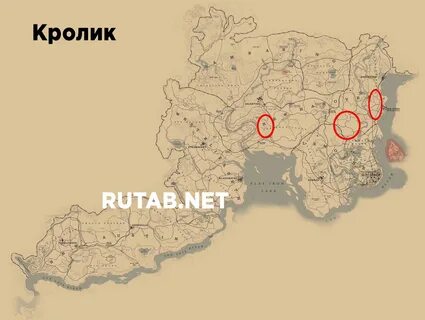 Где продать шкуру в rdr 2