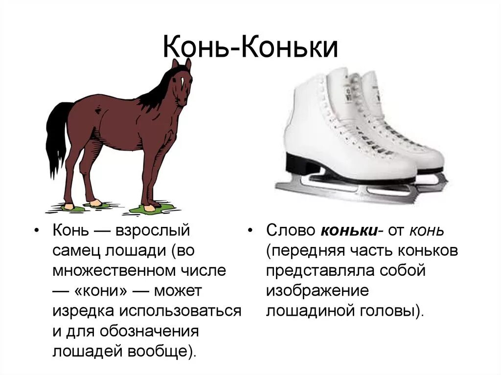 Конь на коньках. Лошадка на коньках. Слово коньки. Единственное число слова коньки.