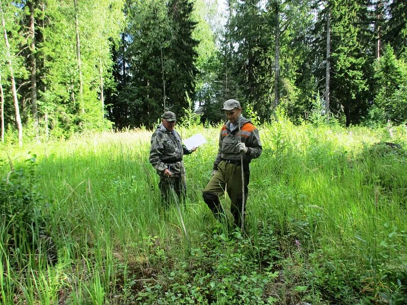 лесное почвоведение ученые. осмотр лесного участка. лес тувы. обследование лесного участка. санитарно оздоровительные мероприятия леса.