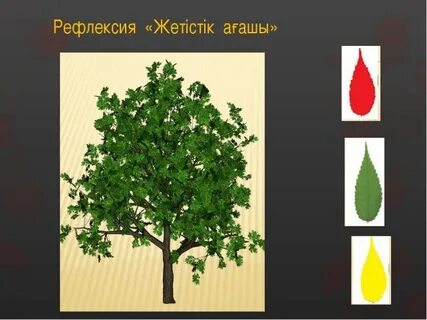 Ағаш гүл стендтерінің фотосы