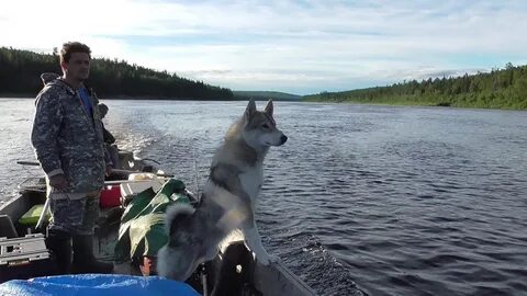 Бахта