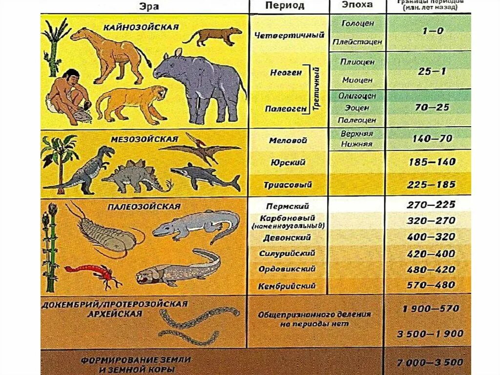 шкала геологического времени. хронологическая схема развития жизни на земле. палеозойская эра животный мир таблица. геохронологическая таблица растений эволюция. геохронологическая таблица с эпохами.