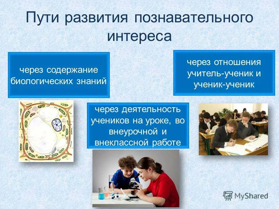 Внеурочная деятельность формирование познавательных