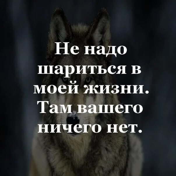 Моя жизнь интереснее вашей цитаты. Следите лучше за собой статусы. Статусы про людей которые интересуются моей жизнью. Статусы про любопытных людей. У жизни нашей есть предел так делай