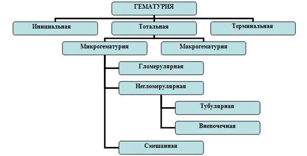 Симптомы гематурии является. Гематурия классификация. микрогематурия классификация. классификация макрогематурии. виды гематурии.