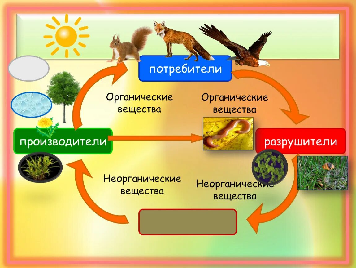 Роль организмов разрушителей. Модель круговорота жизни 3 класс окружающий мир. Великий круговорот жизни 3 класс доклад. Великий круговорот жизни 3 класс модель. Круговорот веществ в природе.