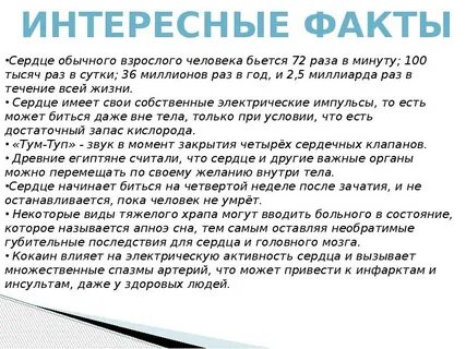 Факты о строении
