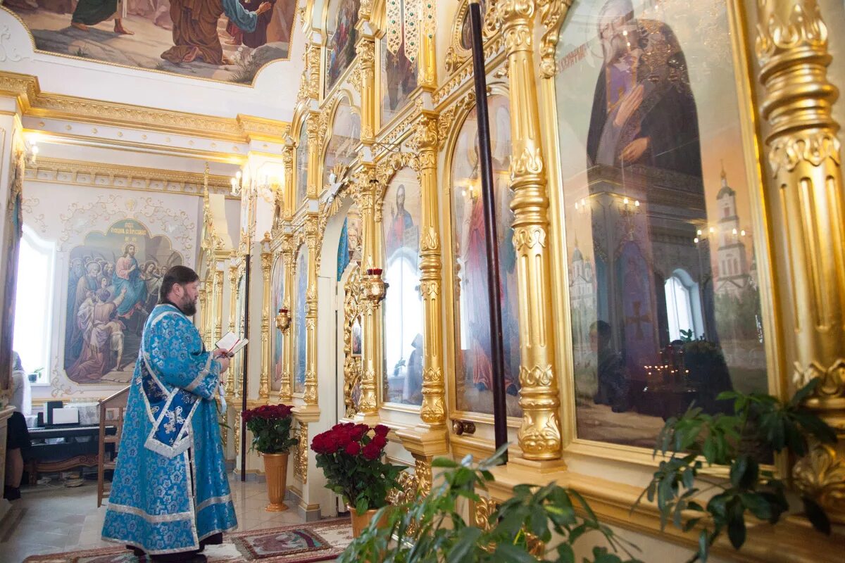 автобус павловск воронцовка. поликлиника 68 сестрорецк расписание. расписание автобусов павловск. график посещения бассейна. расписание миграционной службы.