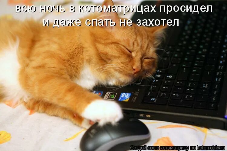 Пора спать с котом. Пора спать отдыхать. Выключай компьютер и спать. Пора отдыхать спать открытки.