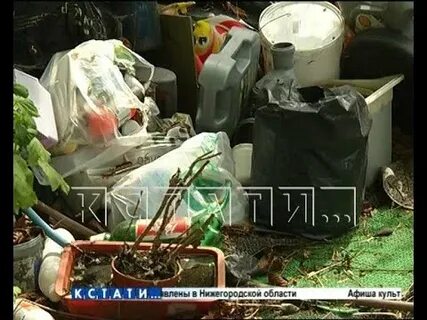 Что случилось с женой плюшкина