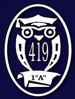 Лицей 419