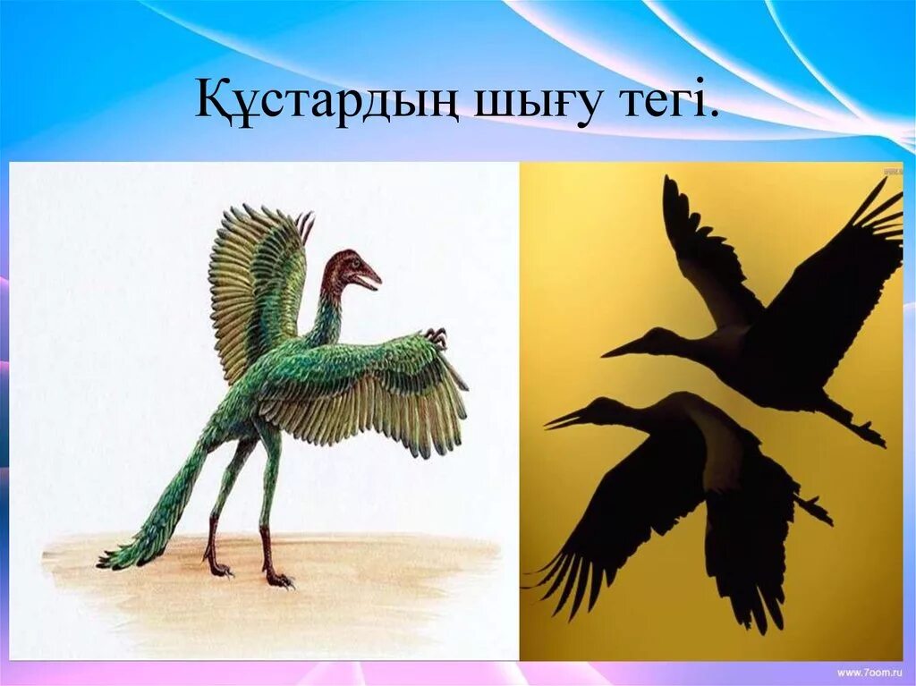 Құстар мен жәндіктер. Құстар біздің досымыз слайд презентация. Құстардың қаңқасы презентация. Кустардын сурети. Кустар на белом фоне.