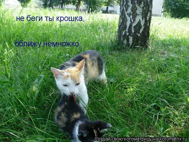 ты беги найди меня где края