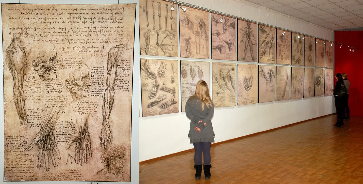 леонардо да винчи. леонардо да винчи екатеринбург. 7 принципов да винчи. механический музей леонардо да винчи. галерея беляево выставка леонардо да винчи.