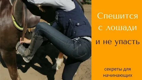 Спешиться