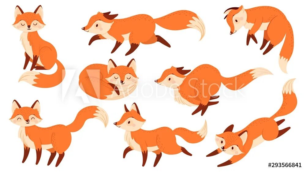 Red foxes работа