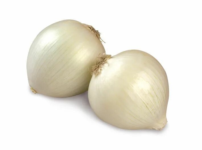 Лук белый шт чулок. Лук репчатый альбион f1. Лук репчатый белый. Лук севок стардаст белый. Лук голландский стардаст.