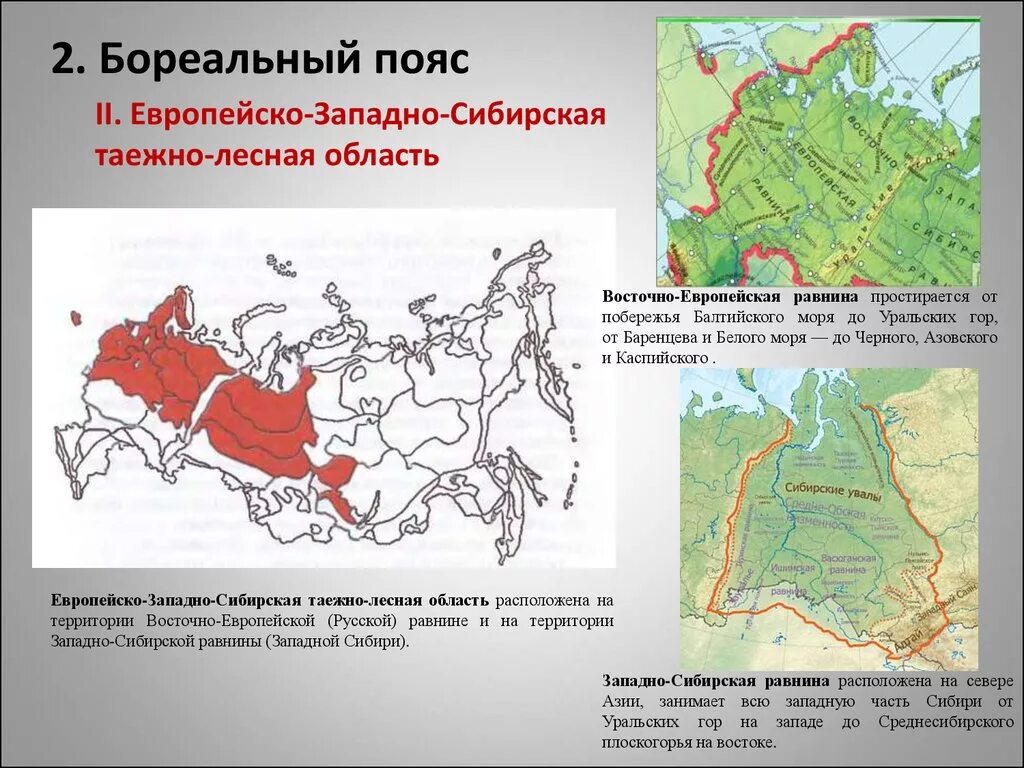 Типы климата русской равнины и западно сибирской. Восточно европейской равнины Западной Сибири Восточной Сибири. Бореальный пояс. Европейско Сибирская область. Почвы бореального пояса.