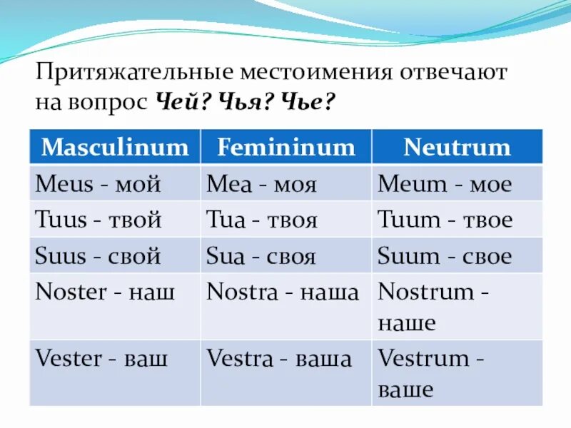 На какой вопрос отвечает притяжательное