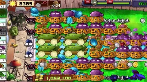 Survival plants