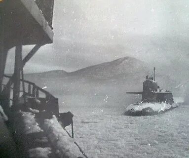 Февраль 1995 года