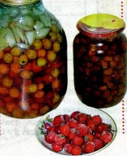 Боярышник заготовка на зиму и способы приготовления