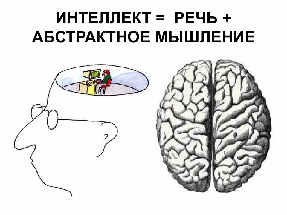 Конкретное и Абстрактное мышление. Отсутствие абстрактного мышления. Абстрактное мышление.это. Речь и интеллект.