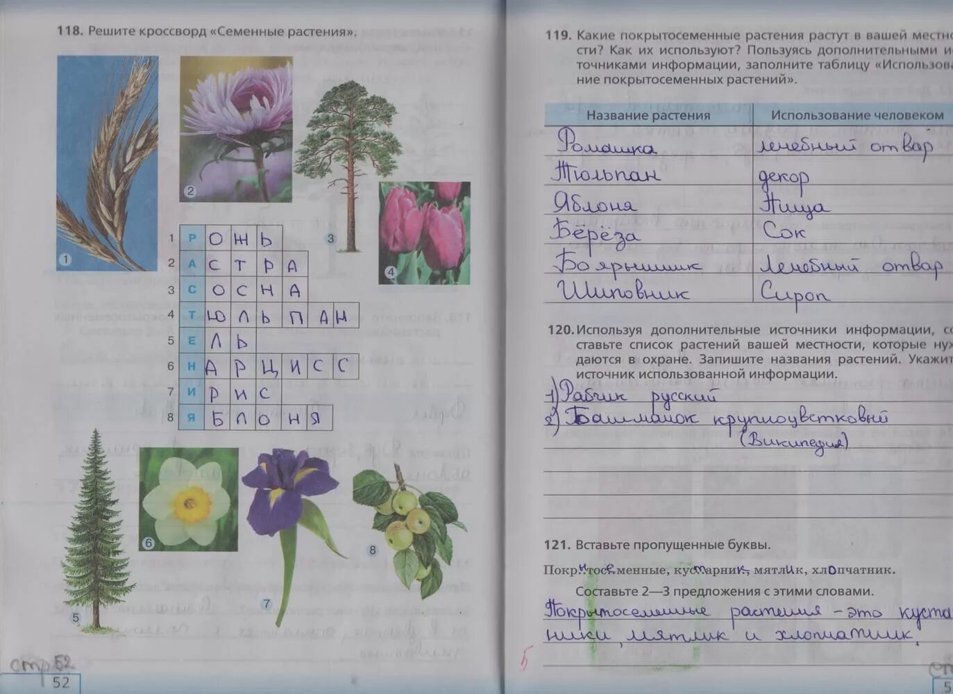 Биология 5 класс стр 120. Биология 5 класс рабочая тетрадь сонин стр 53. биология 5 класс рабочая тетрадь стр 53. биология 5 класс рабочая тетрадь сонин стр 52. биология 5 класс рабочая тетрадь сонин стр 53 номер 121.