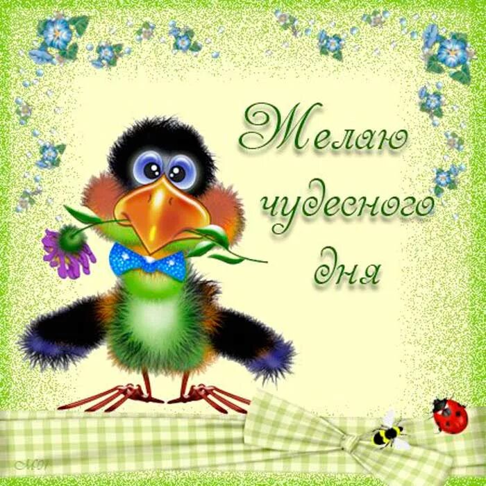 Прикольные картинки с добром дне. Доброго дня прикольные. Доброго Лея прикольные. Доброго дняприкорльные. Хорошего дня прикольные.