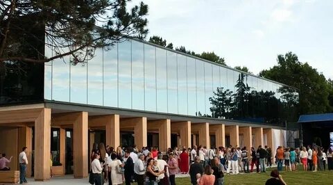 Шампанерия золотая балка балаклава