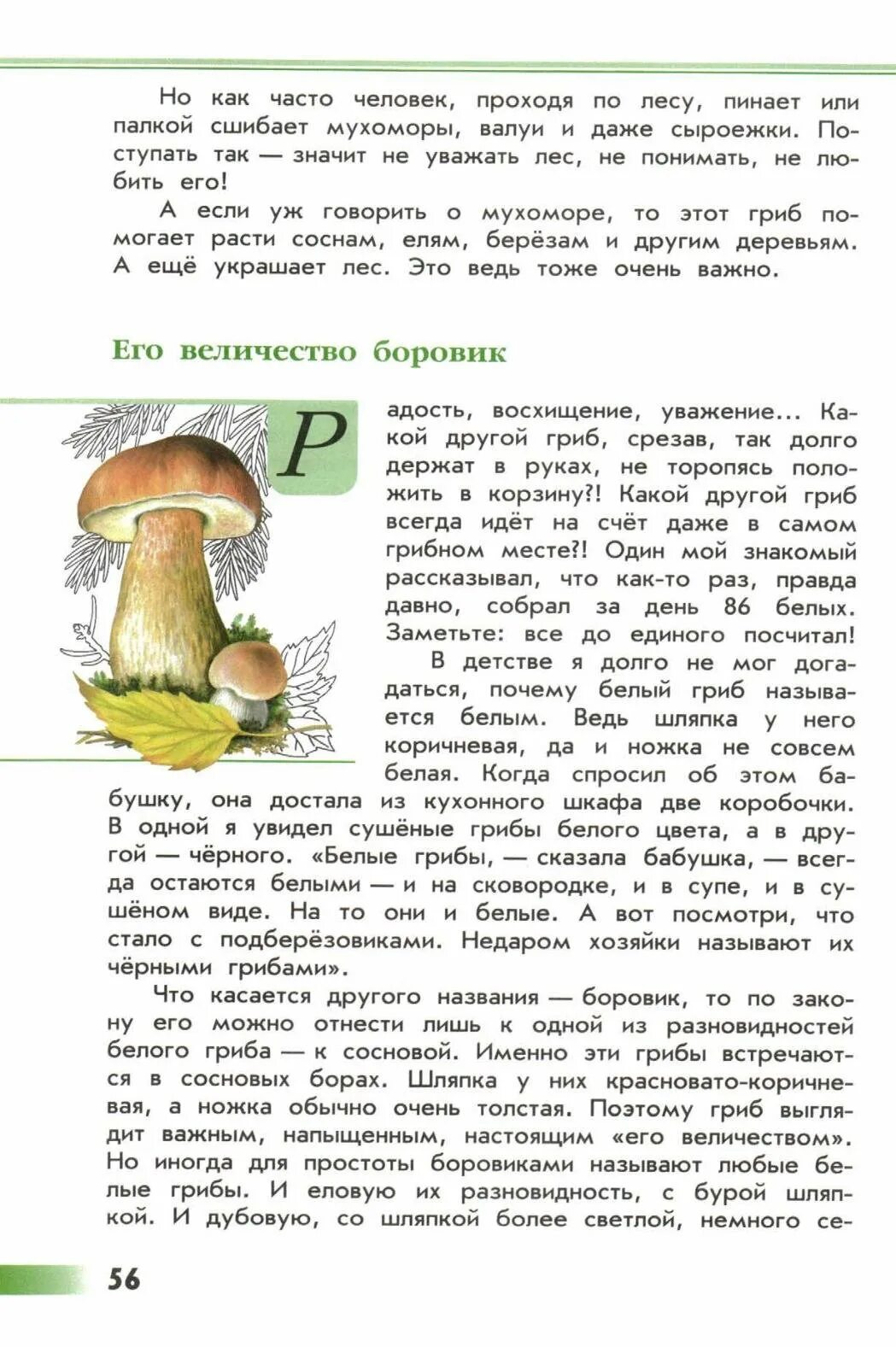 Зеленые страницы окружающий читать. Его величество Боровик зеленые страницы. Рассказ гриб Боровик зеленые страницы. Книга зеленые страницы грибы его величество Боровик. Книга зеленые страницы его величество Боровик.