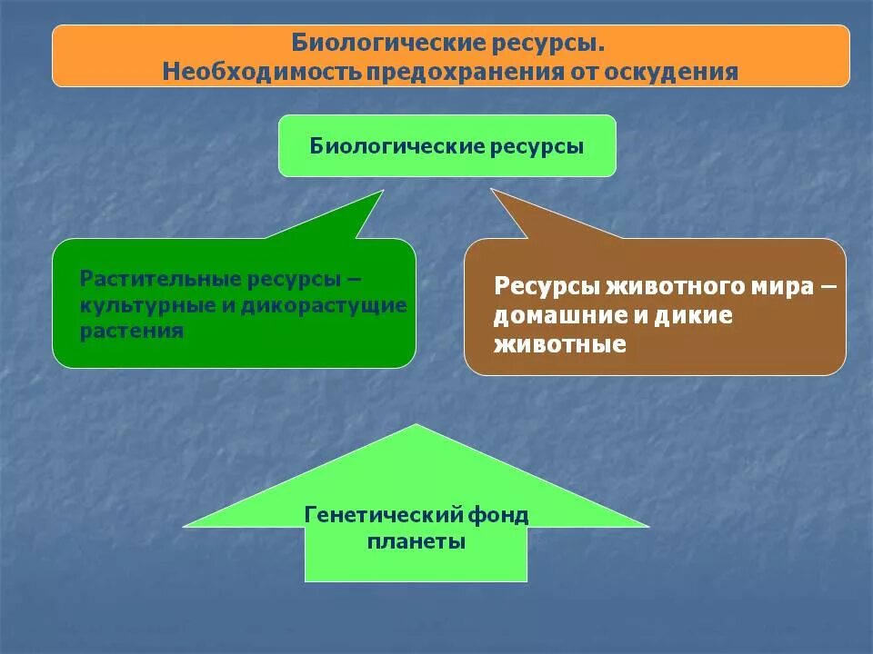 Биологические ресурсы. Виды биологических ресурсов. Биологические природные ресурсы. Растительные биологические ресурсы.