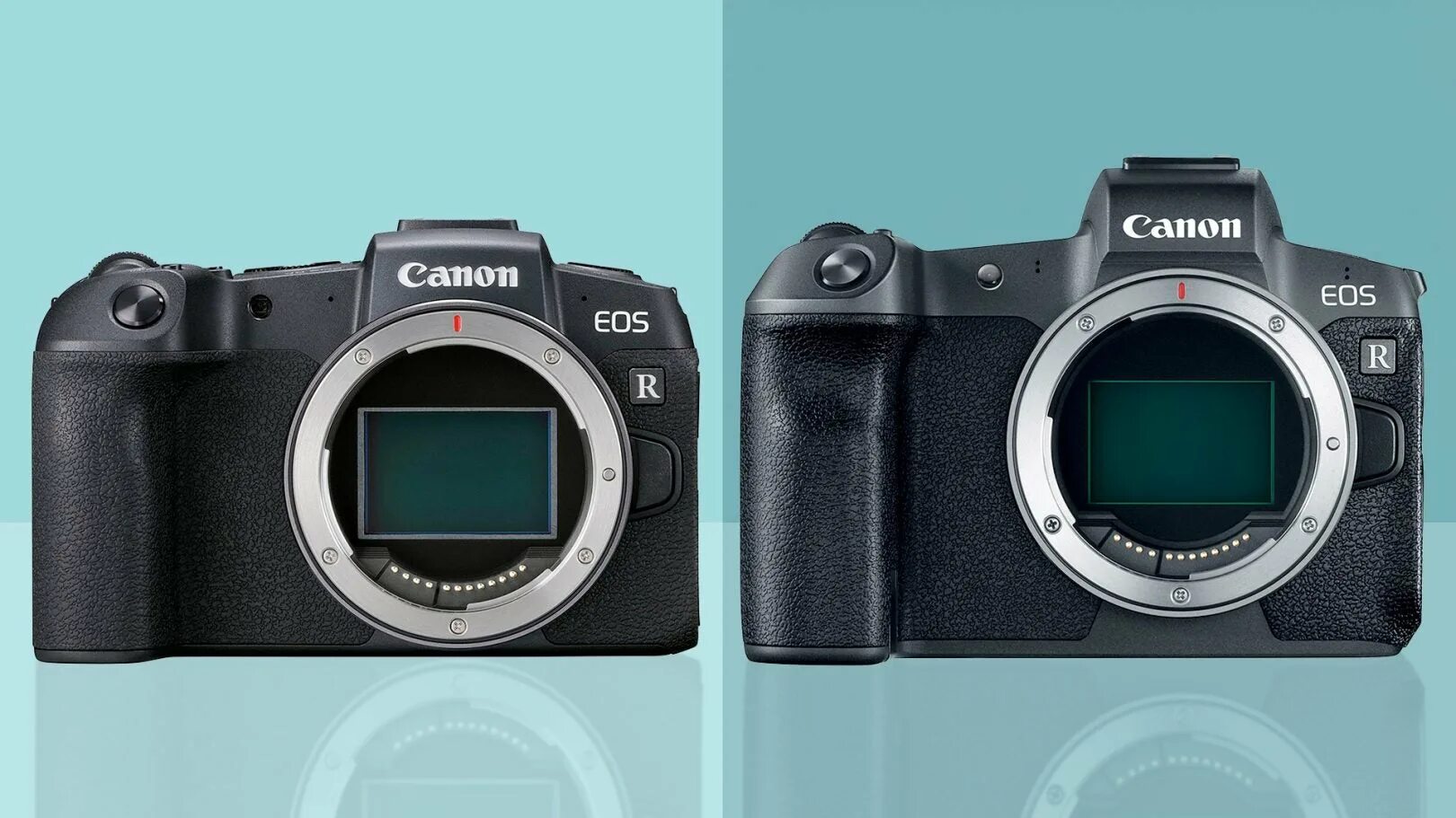 Vs eos. Canon rp vs canon r. canon eos rp vs canon 6d mark ii. eos 6d mark ii vs eos rp. canon eos r камуфляжи.