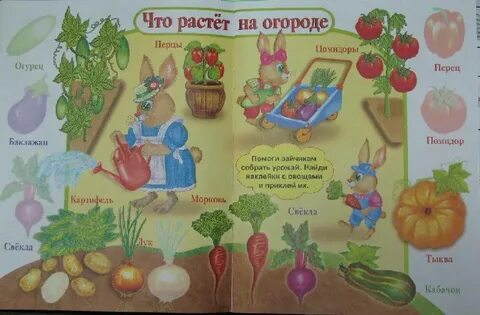 Книжка овощи своими руками