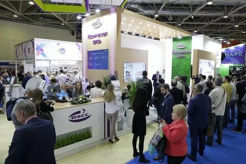 Связь 2019