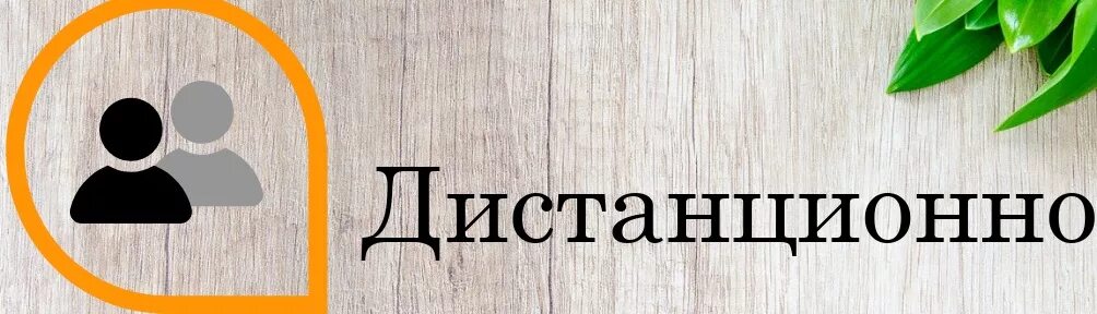 Сайт заочной консультации. Клиника европа волгоград рокоссовского. Пенсионный фонд консультация. Клиника сиена мед в воронеже. Интернет консультация с врачом.