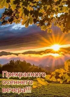 Доброе утро осень солнце