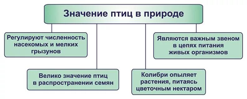 Роль птиц в природе. Значение птиц. Роль птиц в природе и жизни человека. Значение птиц в природе и жизни человека. Значение птиц в жизни человека сообщение