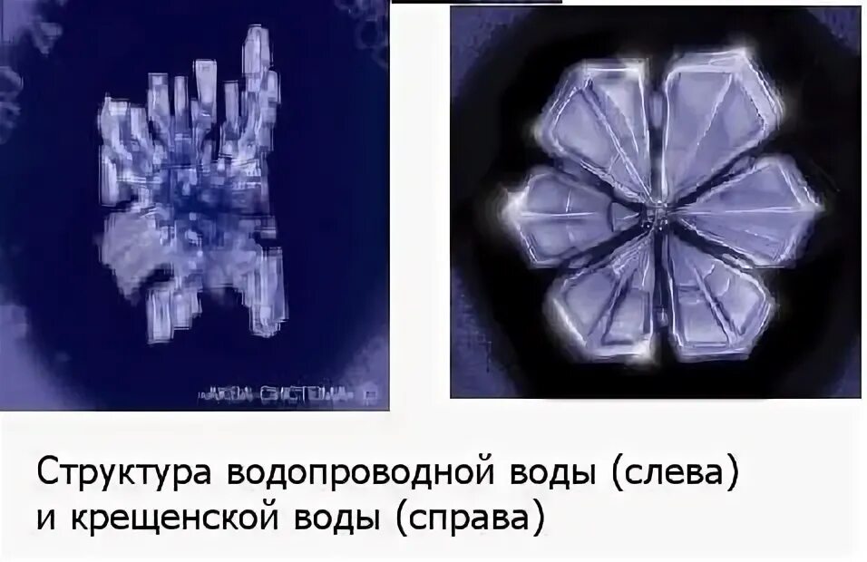Четкий структурированной ответ. Четкий структурированной ответ
