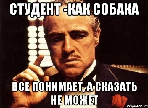 Понимаю сказать не могу. Все понимаю а сказать не могу. Собака все понимает но сказать не может. Как собака все понимаю а сказать не могу. Понятой ничего не видел