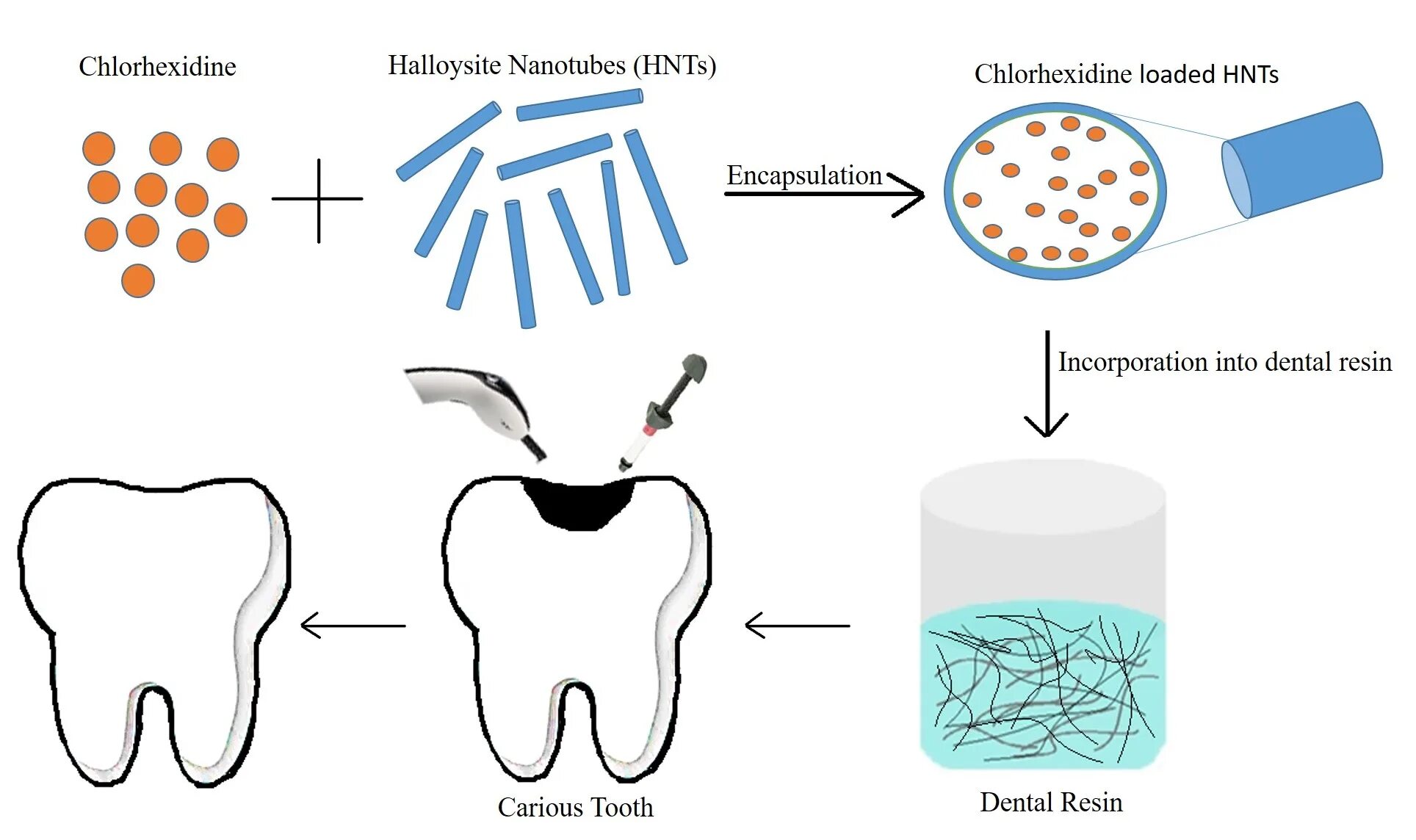 Halloysite nanotube. Механизм действия хлоргексидина. Halloysite nanotube Rubtsova. Поликапролактон в медицине.