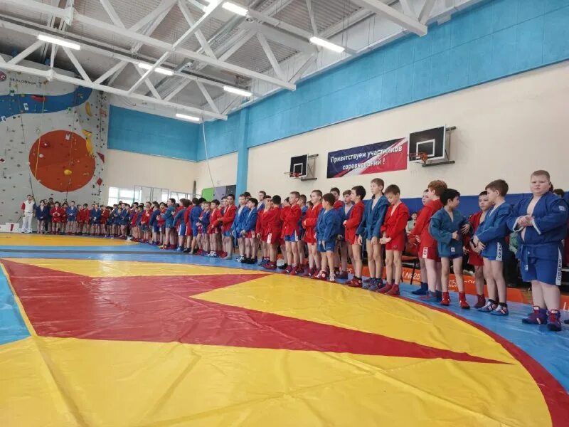 Соревнования по самбо екатеринбург. Самбо свердловский. Дворец самбо и единоборств верхняя пышма. Самбо свердловский. Самбисты екатеринбурга.