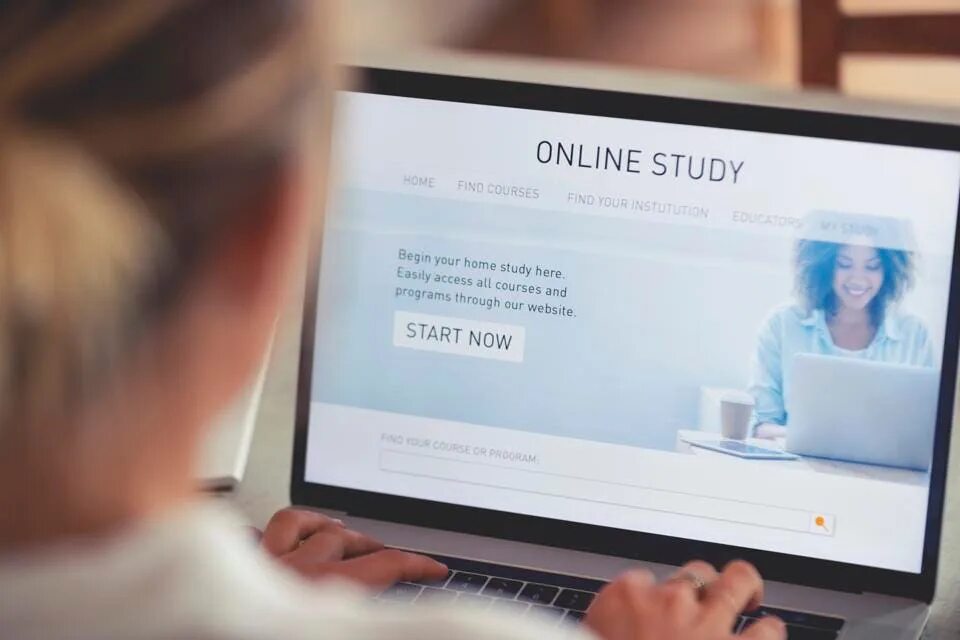 Studying websites. Studying websites