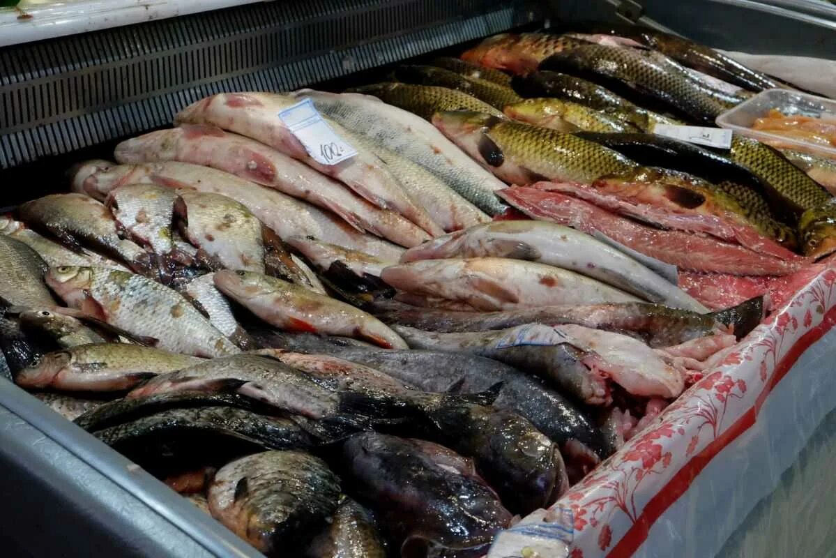 Рыба в астрахани есть. Уловы рыбы в Астрахани. Улов рыбака Астрахань. Дешевая рыба. Живая рыба на рынке.