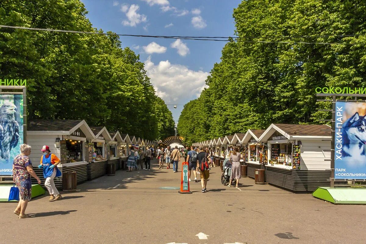 Stone sokolniki. Парк Сокольники. Парк Сокольники Центральная аллея. Московский парк Сокольники. Парк Сокольники 2023.